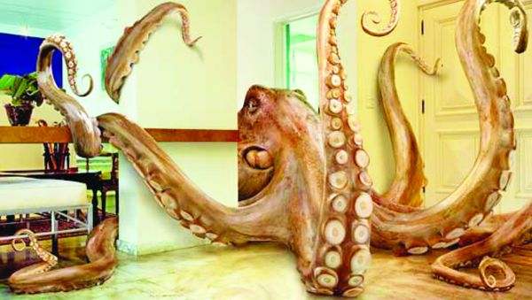 Caracatita statului paralel : 59 de protocoale!