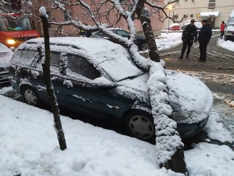 Urmarile iernii: locuinte in bezna, copaci cazuti sub greutatea zapezii