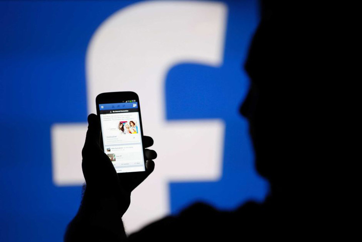 Cati romani stau pe Facebook