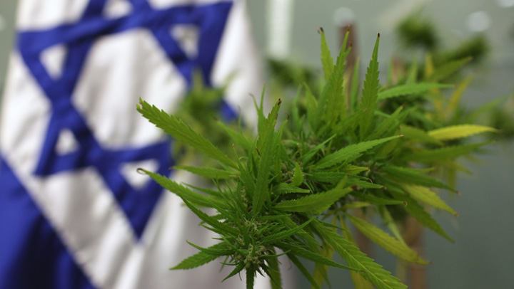 Israel scoate milioane de euro din „iarba”