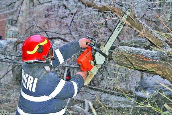 Ploaia inghetata a facut ravagii