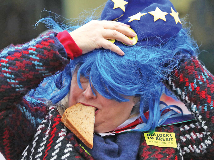 Brexit, halca de carne aruncata UE