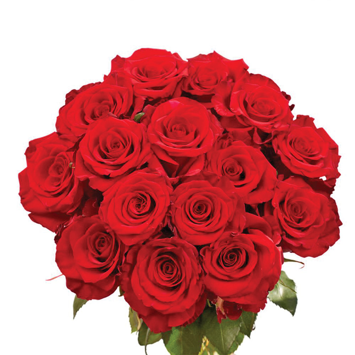 17.000 de tone de trandafiri pentru Valentine’s Day