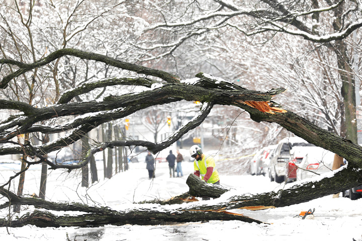 A worker cuts away a tree that fell across Riverside Drive during a snow storm in upper Manhattan in New York - Ziarul National