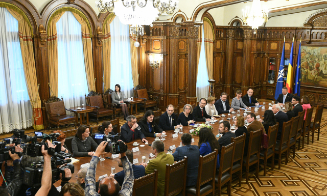 Dupa discutiile cu Iohannis, ONG-urile sustin ca va avea loc un referendum pe 26 mai