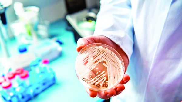O infectie care ucide in 90 de zile, tot mai raspandita la nivel global