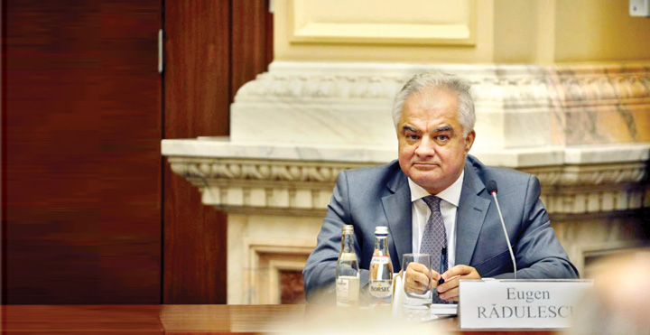 radulescu BNR - Ziarul National