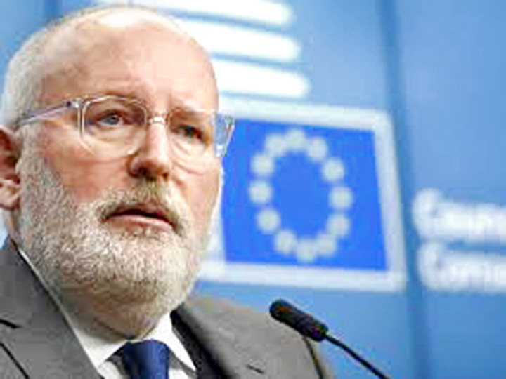 timmermans - Ziarul National