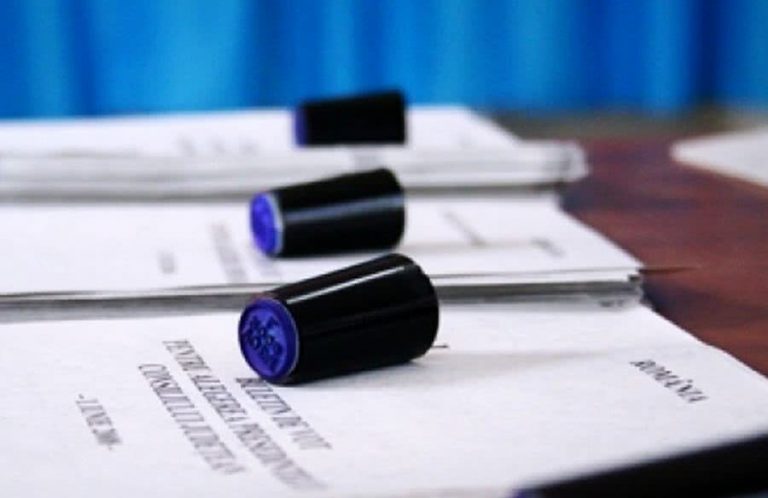 Ce întrebări vor fi pe buletinele de vot la referendumul lui Nicușor Dan