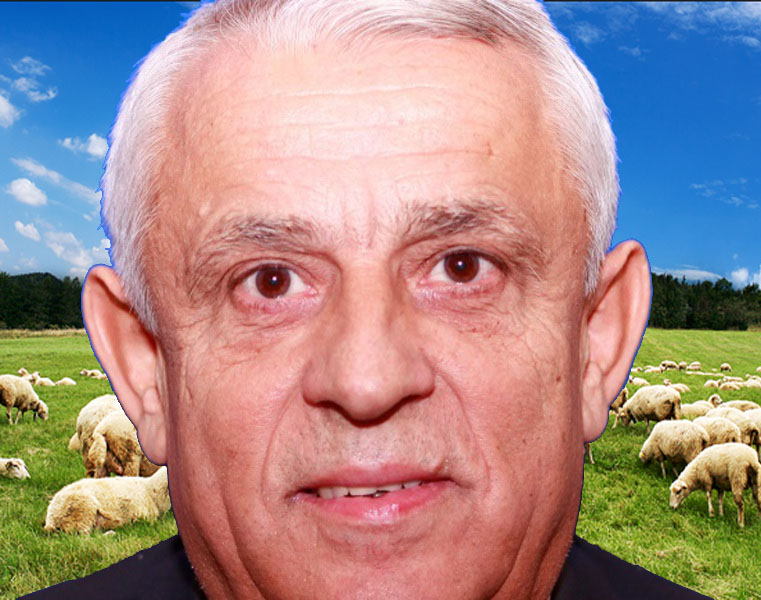 Daea, „Păstorul milostiv” – salvează 70.000 de oi de la sacrificiu