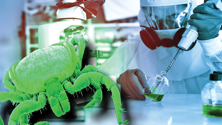 Boala Lyme, armă biologică americană?