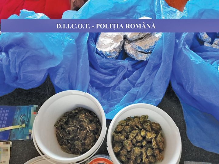 Maşină plină cu droguri, pregătite pentru Neversea