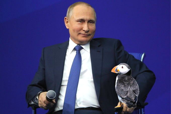 Putin, preocupat de faună și floră: Se gândeşte cineva la păsări, dar la viermi?