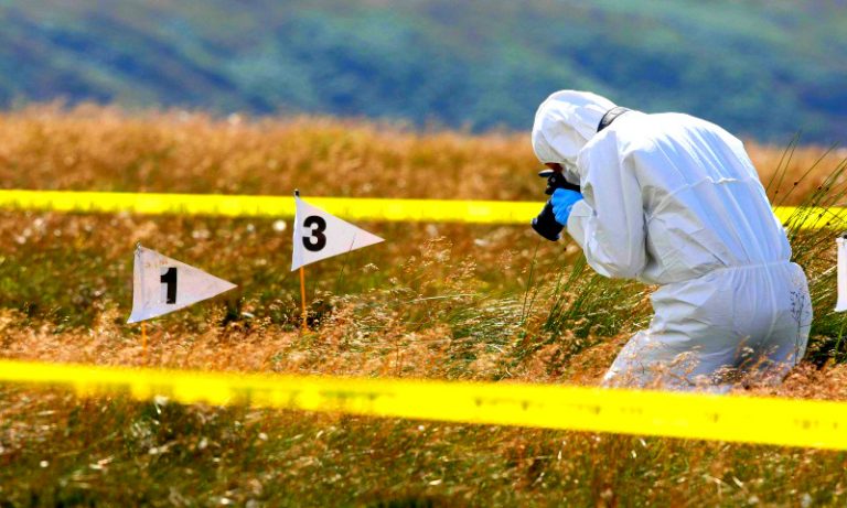 Cadavrul unei femei, acoperit cu crengi şi resturi agricole, găsit pe câmp