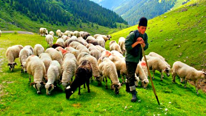 pizap.com15635362706031 - Ziarul National