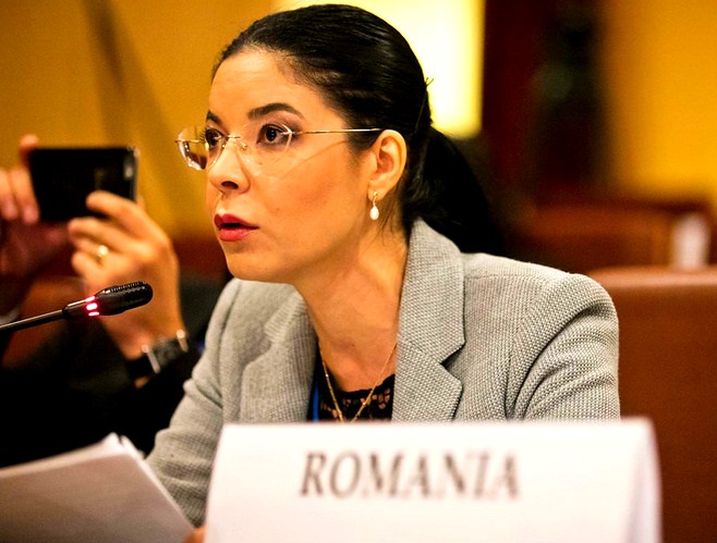 Ana Birchall prezintă măsurile legislative după cazul Caracal - Ziarul National