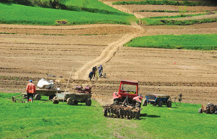agri1 Străinii nu mai pot cumpăra pământ românesc