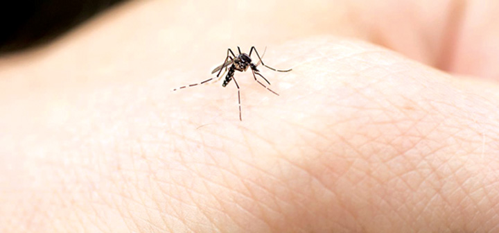 11 cazuri de infecţie cu virusul West Nile. Deja au murit doi oameni