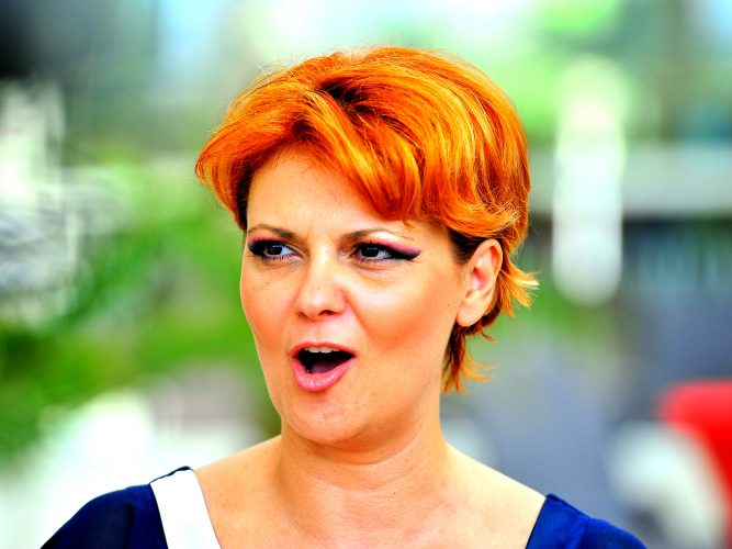 Olguța Vasilescu PNL face vânt pe scari la bugetari - Ziarul National