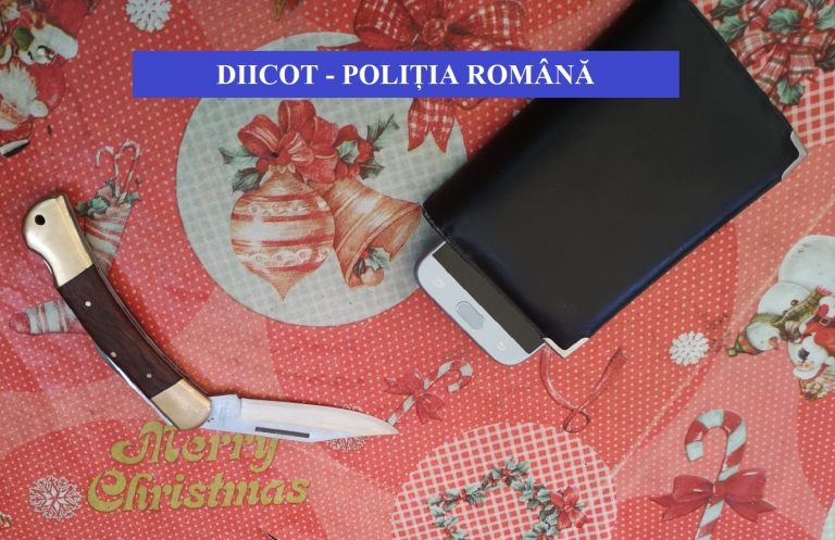 10 reţineri într-un caz de proxenetism şi trafic de minori