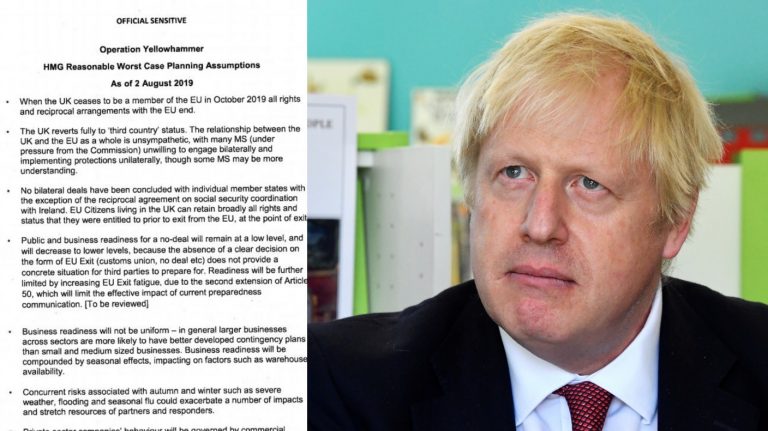 Brexit „no deal” : boli, cozi şi rafturi goale