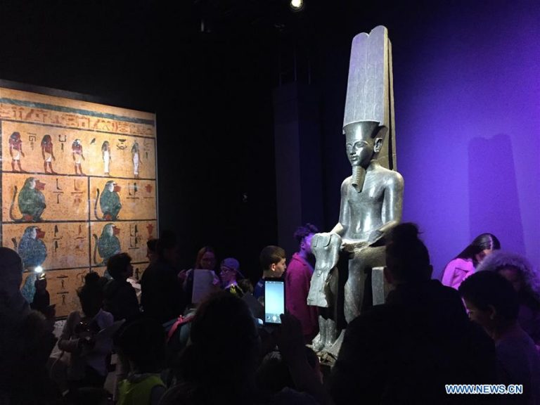 Cea mai vizitată expoziţie din istoria Parisului