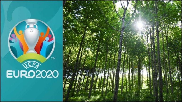 UEFA ne plantează copaci