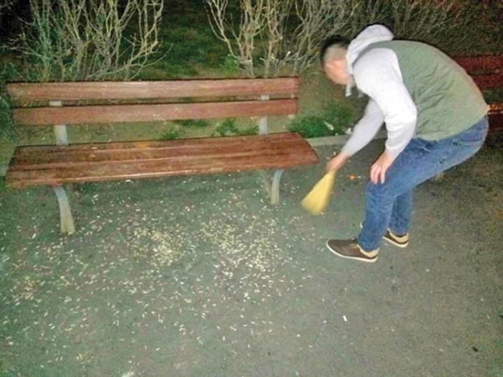 Amendă uriașă pentru că mânca semințe pe stradă