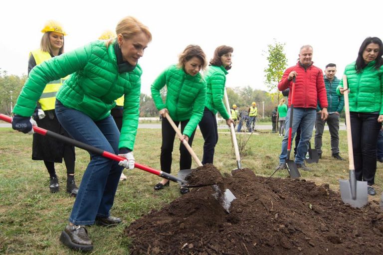 Firea a plantat copaci într-un parc din București