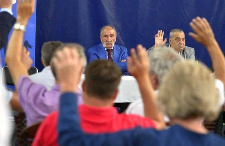 Ion Țiriac, un sfert de milion de euro pentru Federația de Tenis