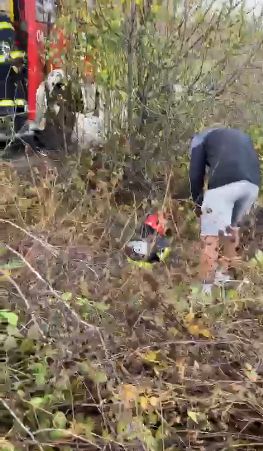 Căprioară salvată de pompieri dintr-un canal (VIDEO)