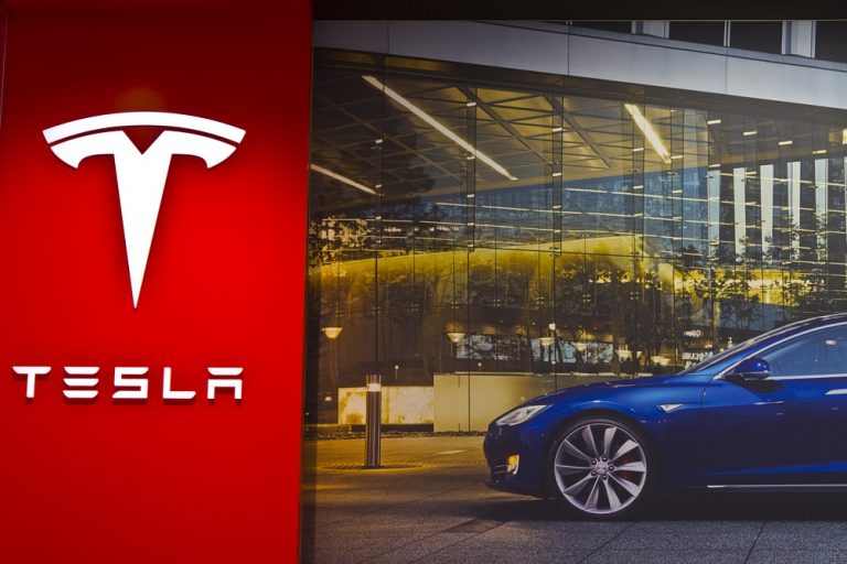 Ce caută Tesla în Germania