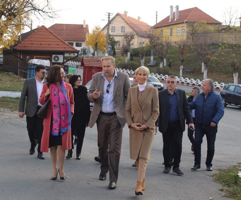 Alegeri prezidențiale 2019. Raluca Turcan a votat la Sibiu