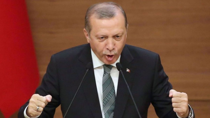 Erdogan, prigoană după profesori şi în România