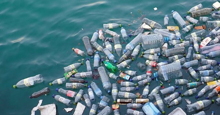 Mâncăm 5 grame de plastic pe săptămână