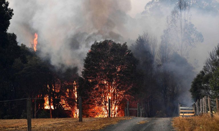 Pompierii români, flituiți de incendiata Australie: Nu avem nevoie de ajutor