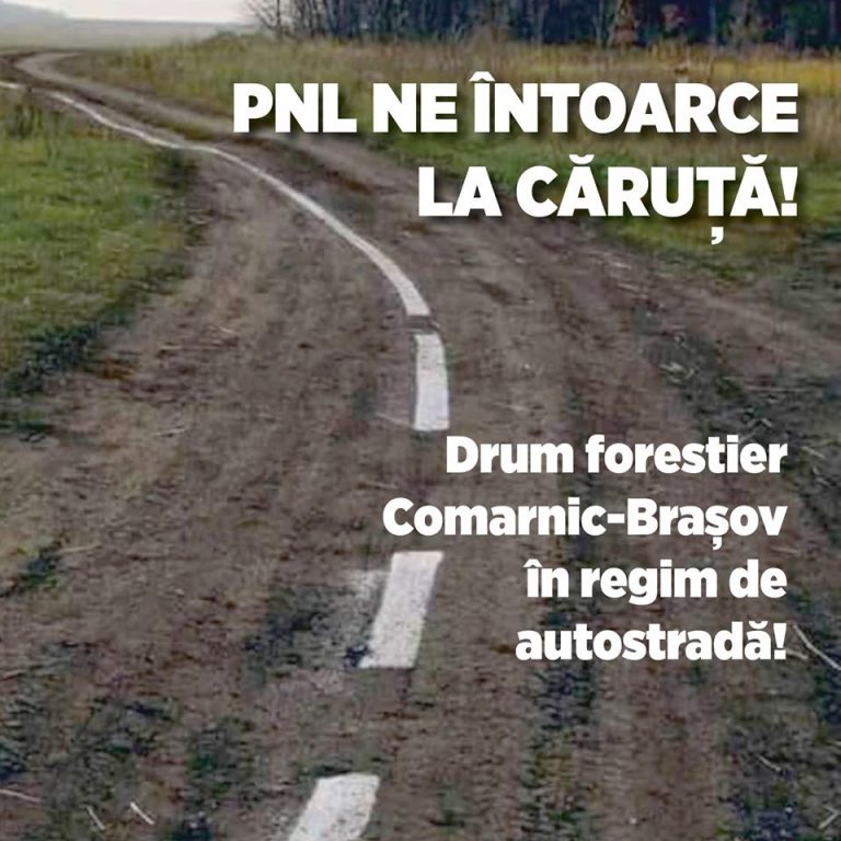 PSD, ironii la adresa lui Bode: A găsit marea soluție – un drum forestier! Wow!