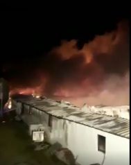 Sute de animale au sfârșit în urma unui incendiu, la un adăpost din Buzău (VIDEO)