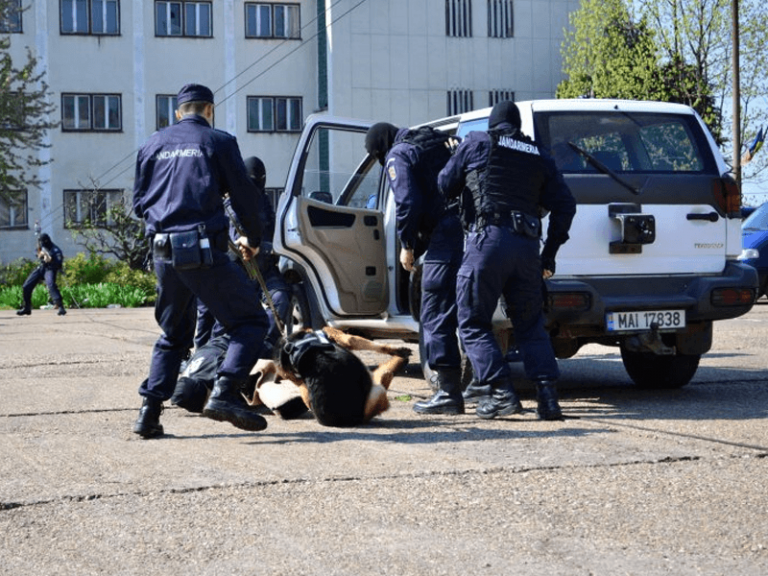 Bombă! Vela, soluție extremă: trimite jandarmii la țară