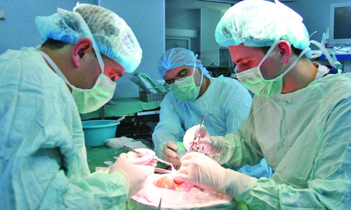 Se pune cruce transplantului de organe în România
