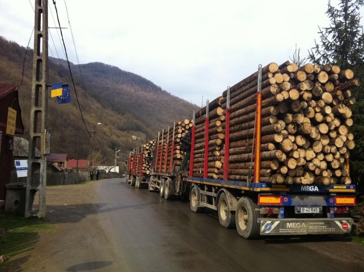 Ipocrizia UE: ne ia lemnul și pe urmă ne ia la palme!