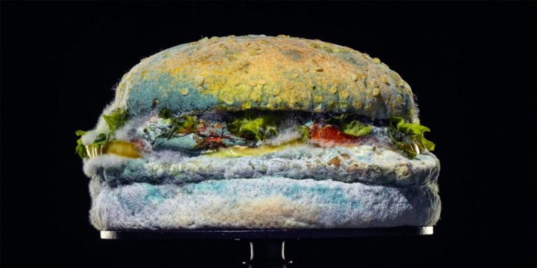 Hamburgerul cu mucegai