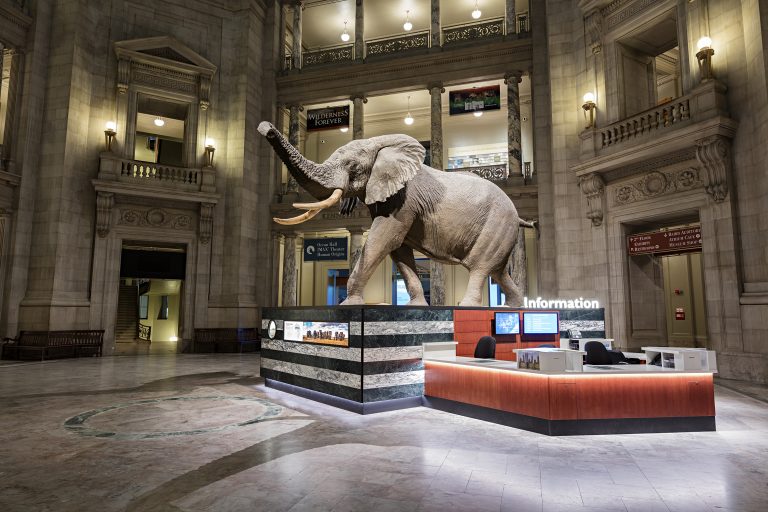 Cum a rezolvat „DNA-ul” și Muzeul Smithsonian