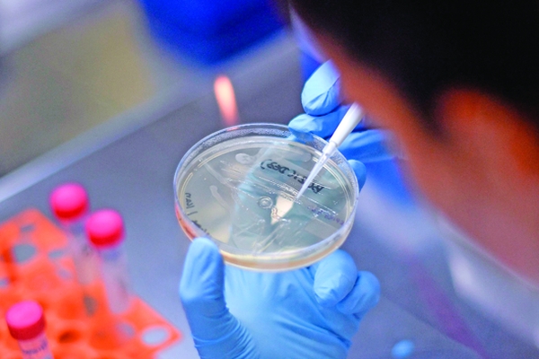 Adio coronavirus! Medicamentul minune a fost găsit