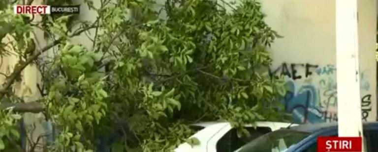 Femeie rănită de un copac doborât de vânt, în Capitală
