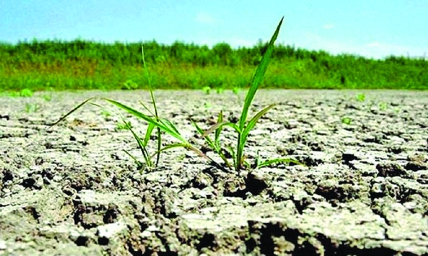 agricultura - Ziarul National