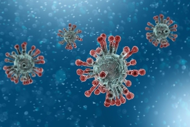 coronavirus