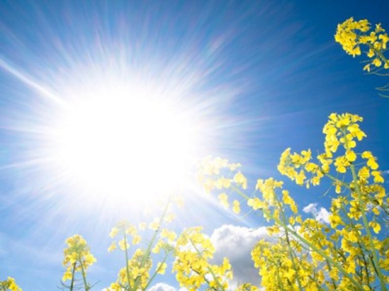 Vreme frumoasă în toață țara. Prognoza meteo pentru 28 august 2020