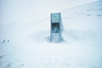 https://www.national.ro/news/se-umple-seiful-judecatii-de-apoi-679662.html - Ziarul National Un val extrem de căldură afectează „Seiful destinat sfârşitului lumii” situat în Arctica!