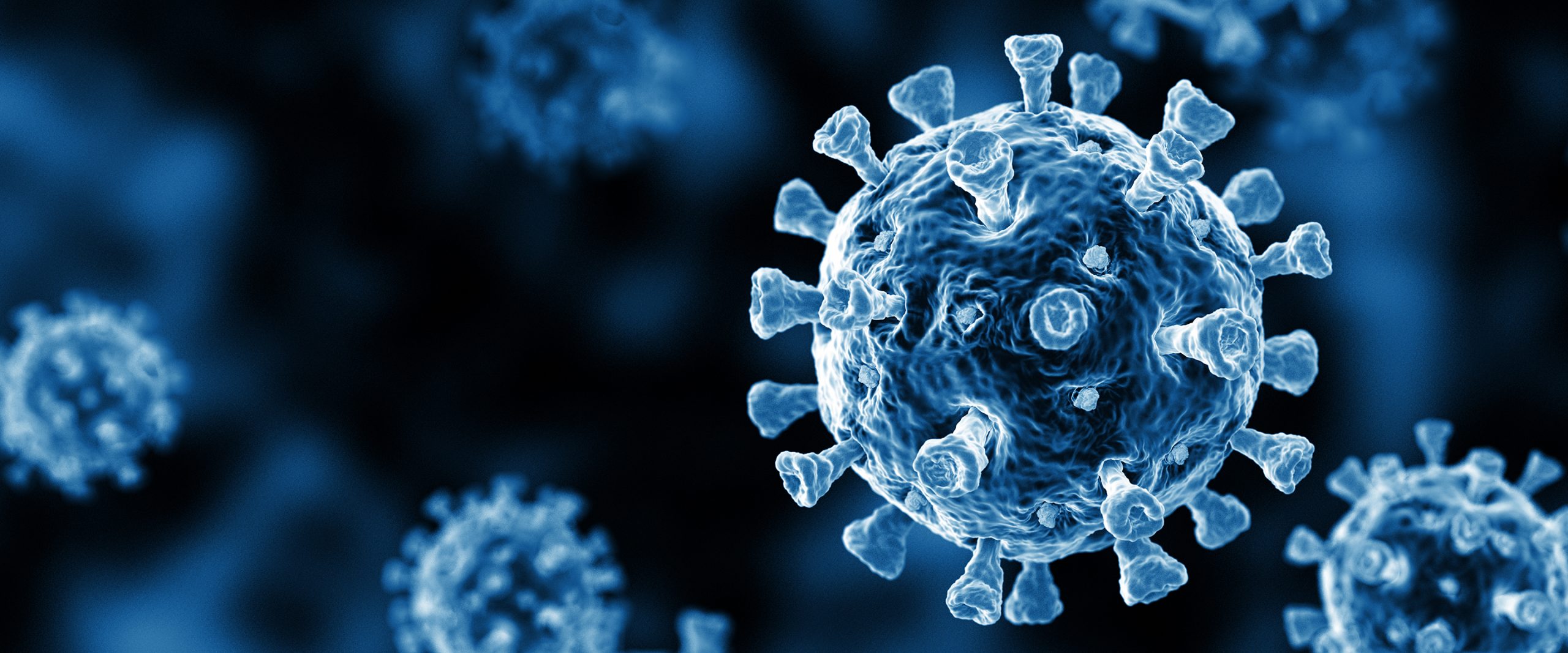 „Strămoșii” coronavirusului s-au ascuns timp de decenii întregi în jurul nostru! Ce pericol ne așteaptă